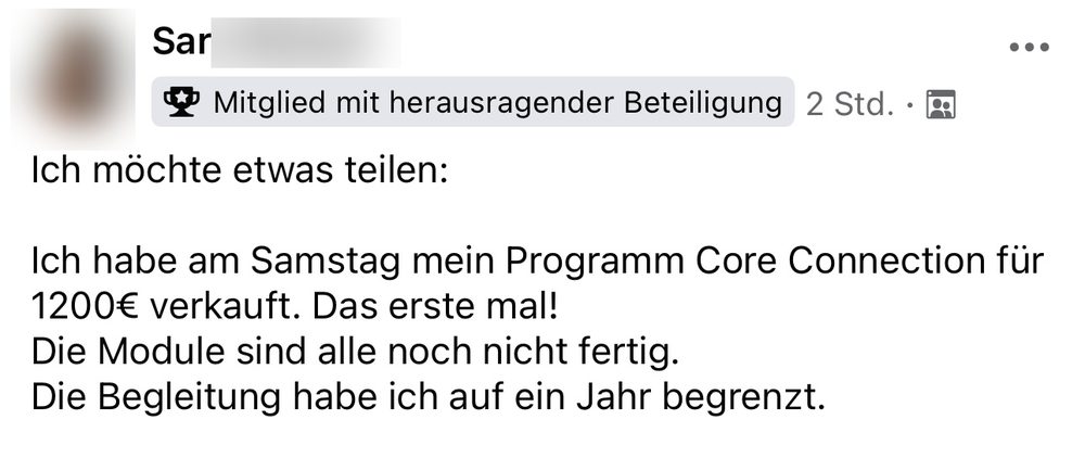 Screenshot: eigenes Programm zum ersten Mal für 1.200 Euro verkauft